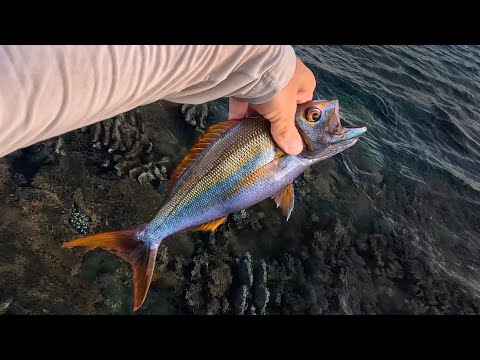 Видео: Неизвестный трофей, обрывы и безумные волны┃Рокфишинг в океане. Часть 3