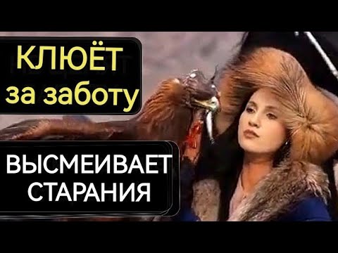 Видео: Проективная идентификация. Обесценивание заботы, сарказм