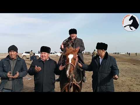 Видео: 04-февраль 2024 ж ШАХАМАН ДА БӘЙГЕ БАТЫР КЕЛІН ТОЙ