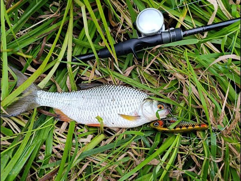 Видео: Курьезы, сходы и рыбалки одной поклёвки...