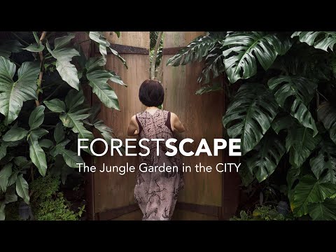 Видео: Скрытый тропический сад джунглей 🌴 и пещера человека мечты при участии Пака Чандры