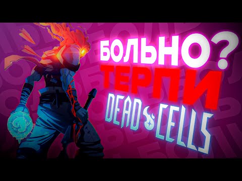Видео: КЛЕТКИ на нуле, БОЛЬ на ВЫСОТЕ| Dead Cells
