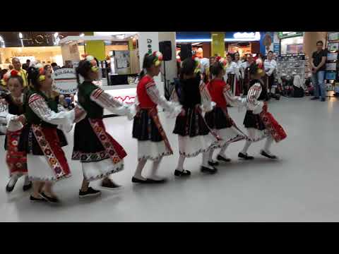 Видео: Данец