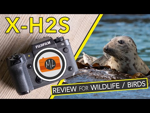 Видео: Обзор Fujifilm X-H2S для съемки дикой природы и птиц в полете