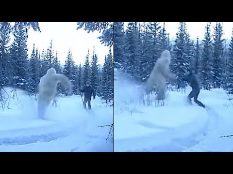Видео: ТУРИСТЫ В ПАНИКЕ: МЫ ВСТРЕТИЛИ НЕИЗВЕСТНОЕ СУЩЕСТВО в Горах Тихоокеанского Севера-Запада. #bigfoot