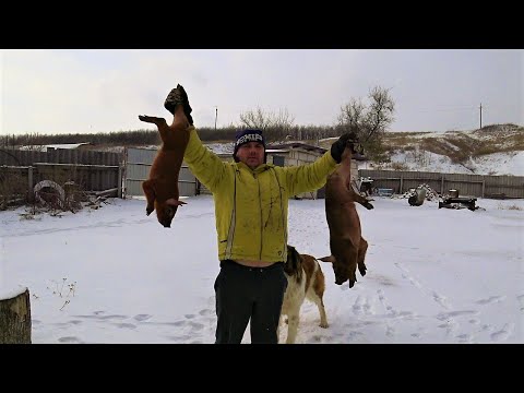 Видео: Забрал Дюрков , стартану так чтоб росли как на дрожжах гранула не надо Бред....