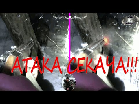 Видео: охота с лайками ночью#АТАКА СЕКАЧА!!!