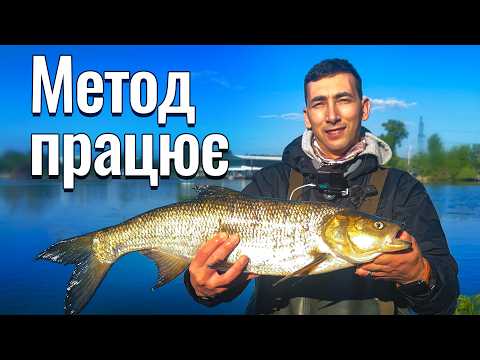 Видео: Як ловити Жереха під ногами