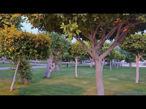 Видео: 🇹🇷 Эрдемли вечером 🌳 Парк, закат и Приятная прогулка