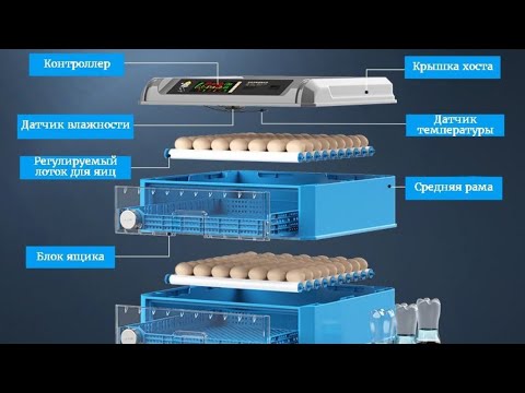 Видео: Второй Инкубатор Подготовка К Закладке Бройлеров Кобб 500 И Доминант Разведение Бройлеров 2025 году