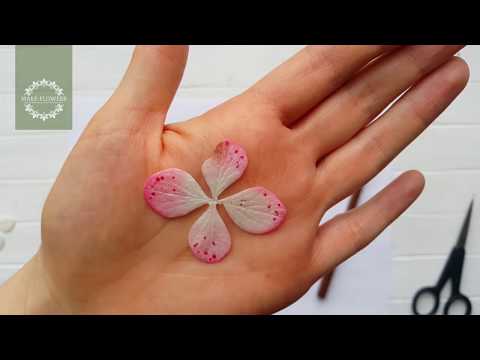 Видео: Гортензия- подготовка (Флешмоб Зима 2018-2019)