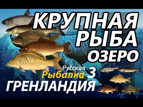 Видео: Крупная рыба Озеро / РР3 [Русская Рыбалка 3 Гренландия]