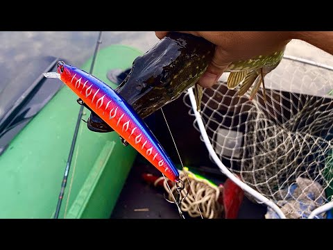 Видео: ВАРУНА SP. ТЕСТ-ДРАЙВ ВОБЛЕРКА ИЗ КОЛЛЕКЦИИ. ВЫРВАЛСЯ НА РЫБАЛКУ И НАЛОВИЛ ЩУК.