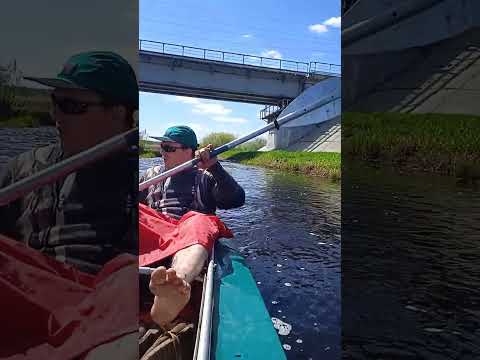 Видео: Сплав по реке Синяя вокруг города Осиповичи до ГЭС на реке Свислочь.