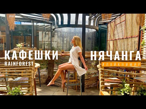 Видео: Вьетнам. Нячанг. Крутой ресторан RAINFOREST. Необычные кафе Вьетнама. Обзор цен. Вьетнамская кухня.