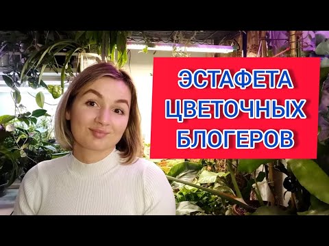 Видео: ЭСТАФЕТА цветочных блогеров!