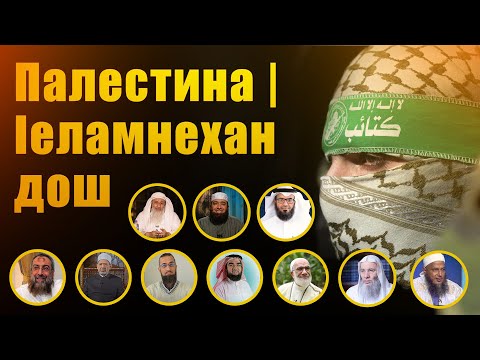 Видео: Палестина | Iеламнехан дош