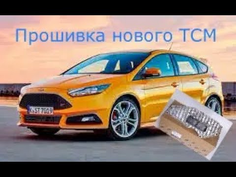 Видео: ПРОШИВКА НОВОГО БЛОКА TCM ФОКУС 3
