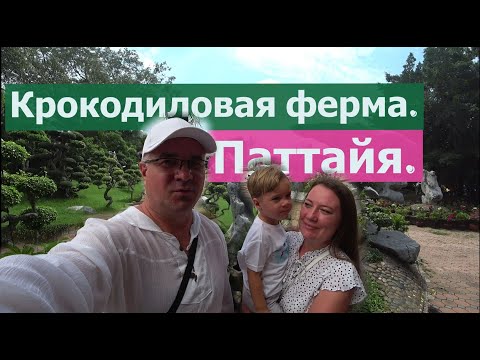 Видео: КУДА СХОДИТЬ с РЕБЁНКОМ в Паттайе. Сад МИЛЛИОНЛЕТНИХ камней или КРОКОДИЛОВАЯ ферма
