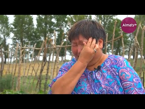 Видео: Шешімі бар: Бір хабар берші, бауырым (23.09.20)