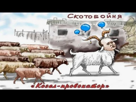 Видео: Как козел "Провокатор" заводит баранов на убой на скотобойню. Сравните с нашей жизнью.