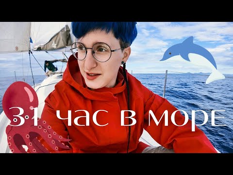 Видео: Первая гонка регаты MONACO PURSUIT 24: волны, ветер и дельфины