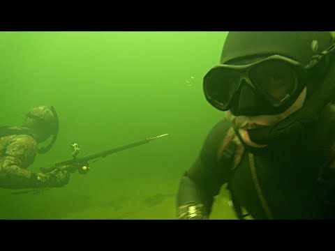 Видео: ПО СЛЕДАМ ОГРОМНЫХ ТОЛСТОЛОБОВ (КОМПАС №61)