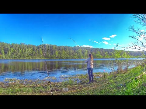 Видео: РЫБАЛКА НА ВОЛГЕ ловлю на ДОНКУ и ФИДЕР Russian fishing