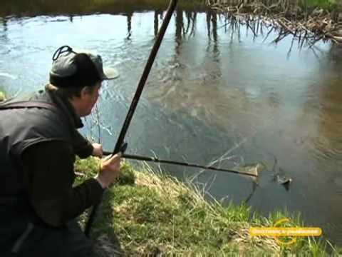 Видео: Ловля хариуса в проводку