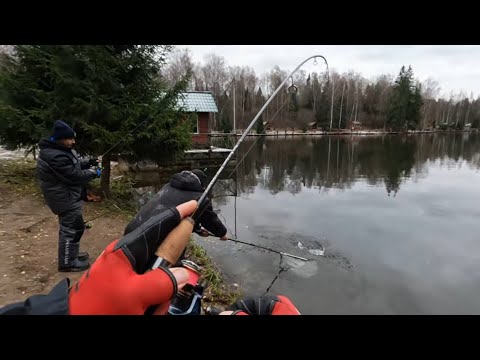 Видео: Ловля прудовой ФОРЕЛИ на СПИННИНГ! РК "Клёвое место" Лосиный остров!