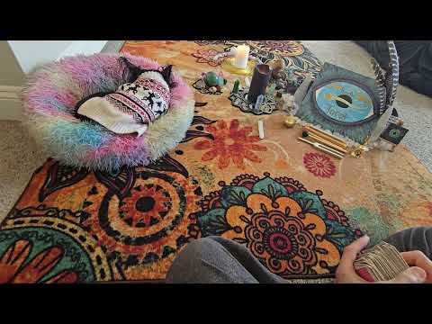 Видео: За то, что они сделали, им придется заплатить.