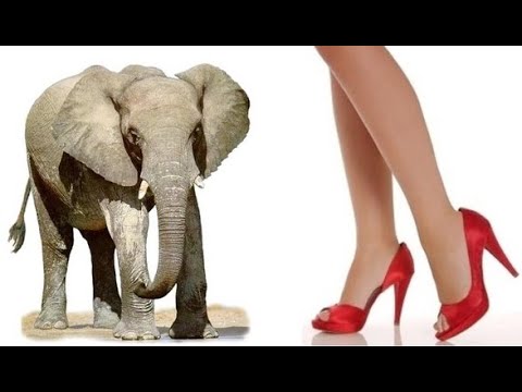 Видео: Урок 12(тиск)