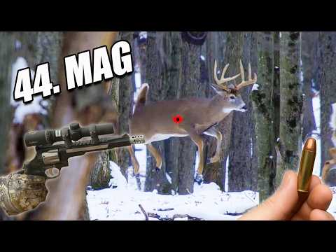 Видео: .44 MAG против оленя! Самая напряжённая охота с пистолетом в истории! | Ранчо Легенд