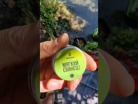 Видео: CARPTODAY  уже во Франции... КАРПФИШИНГ БЕЗ ГРАНИЦ. 