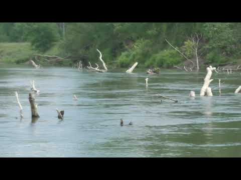 Видео: Первый сплав по реке Сим! Наши впечатления!