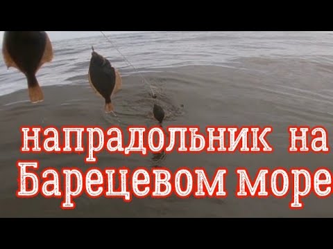 Видео: На напродольник , на Баренцевом море.