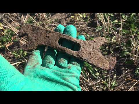 Видео: В поле с металлоискателем TX-850 ищу монеты. Полная версия видео поиска монет с китайским ТХ 850