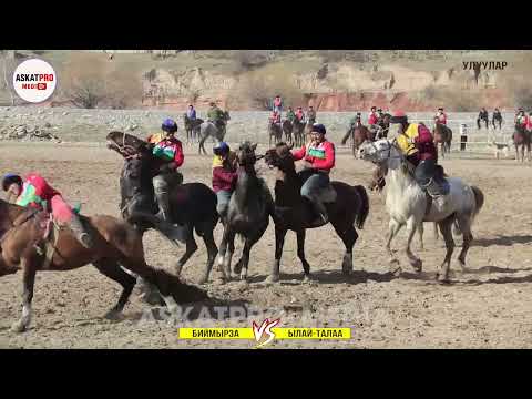 Видео: УЛУУЛАР/БИЙМЫРЗА  VS ЫЛАЙ-ТАЛАА /КОК-БОРУ 2023 КАРА КУЛЖА ФЕВРАЛЬ