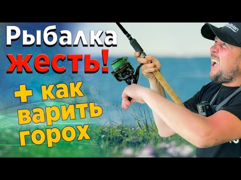 Видео: Как варить горох на ЛЕЩА! Лещ на фидер. Простая рыбалка.