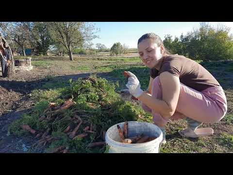 Видео: Купили хату в селі Працюють всі