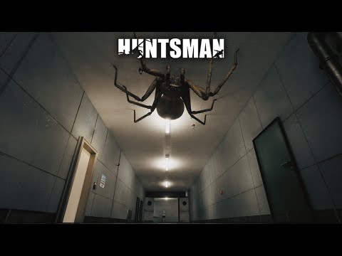 Видео: Арахнофоб и пауки  ➤ Huntsman