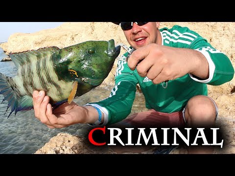 Видео: Рыбалка в Египте ЗАПРЕЩЕНА!!!