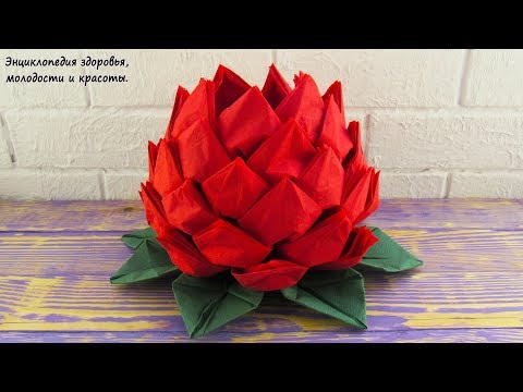 Видео: Как красиво сложить салфетки для сервировки стола. Салфетница из салфеток. Цветок Лотос