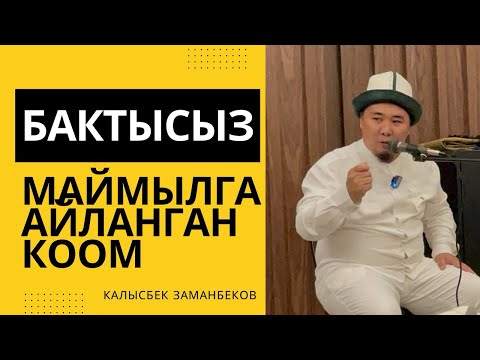 Видео: Калысбек Заманбеков: Бактысыз маймылга айланган коом | лидер умра 2023