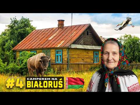 Видео: 🇧🇾 БЕЛАРУСЬ - Открывая тайны Беловежской пущи!