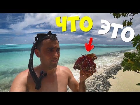 Видео: Выживание на необитаемом острове [3-часть] Делаю гавайку Что я поймал