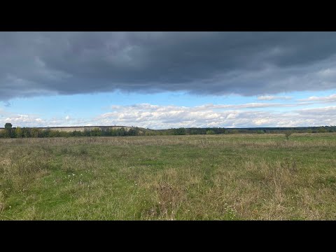 Видео: 2 частина) клюнув Судак на мандулу