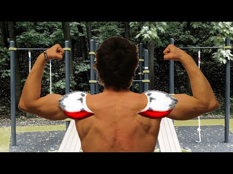 Видео: Плечи БЕЗ Железа: Задняя Дельта на Турниках