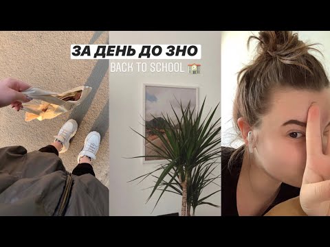 Видео: День до ЗНО, а Диана вечером...