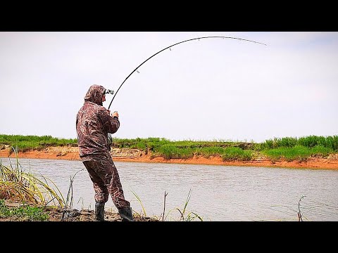 Видео: ПОЙМАЛ РЫБУ НА МИЛЛИОН! РЫБАЛКА НА САЗАНА. Закидушки на современный лад.